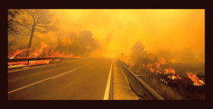 Consejos para conductores que se encuentren con un incendio en la carretera