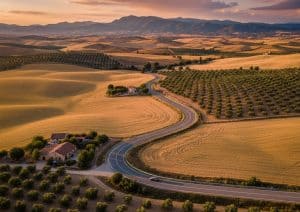 Carretera secundaria sinuosa en zona rural de España donde se producen la mayoría de accidentes mortales